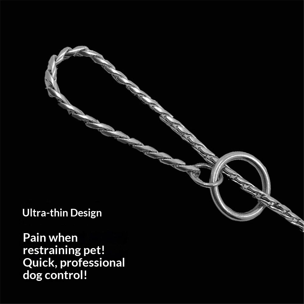Dog P snake chain titanium steel metal dog training plug/collar is recommended for professional training (silver 4.5 * 45cm) — image 5