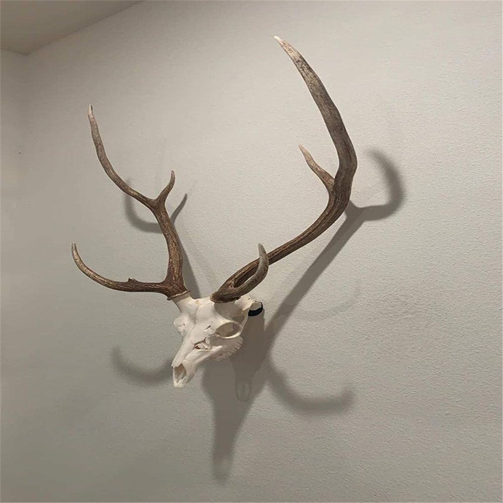 2 pack The No Show Whitetail Deer Skull Mount Hanger - No Show Design - Quickest Install - Hog Antelope Coyote bobcat Axis Small Game โ image 5