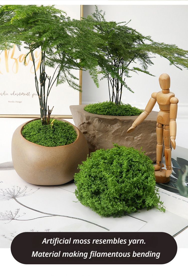 diy artificial moss lawn-Light Green Filamentous Moss 200g — image 3