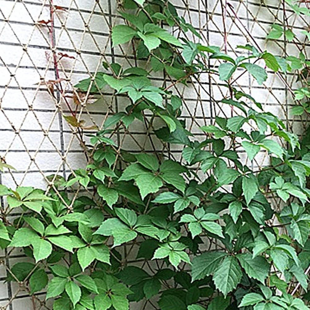 Jute Plant Climbing Net for Vegetables and Vines, Natural Support Trellis for Garden, Balcony and Greenhouse Use, 2 × 5 m — image 5