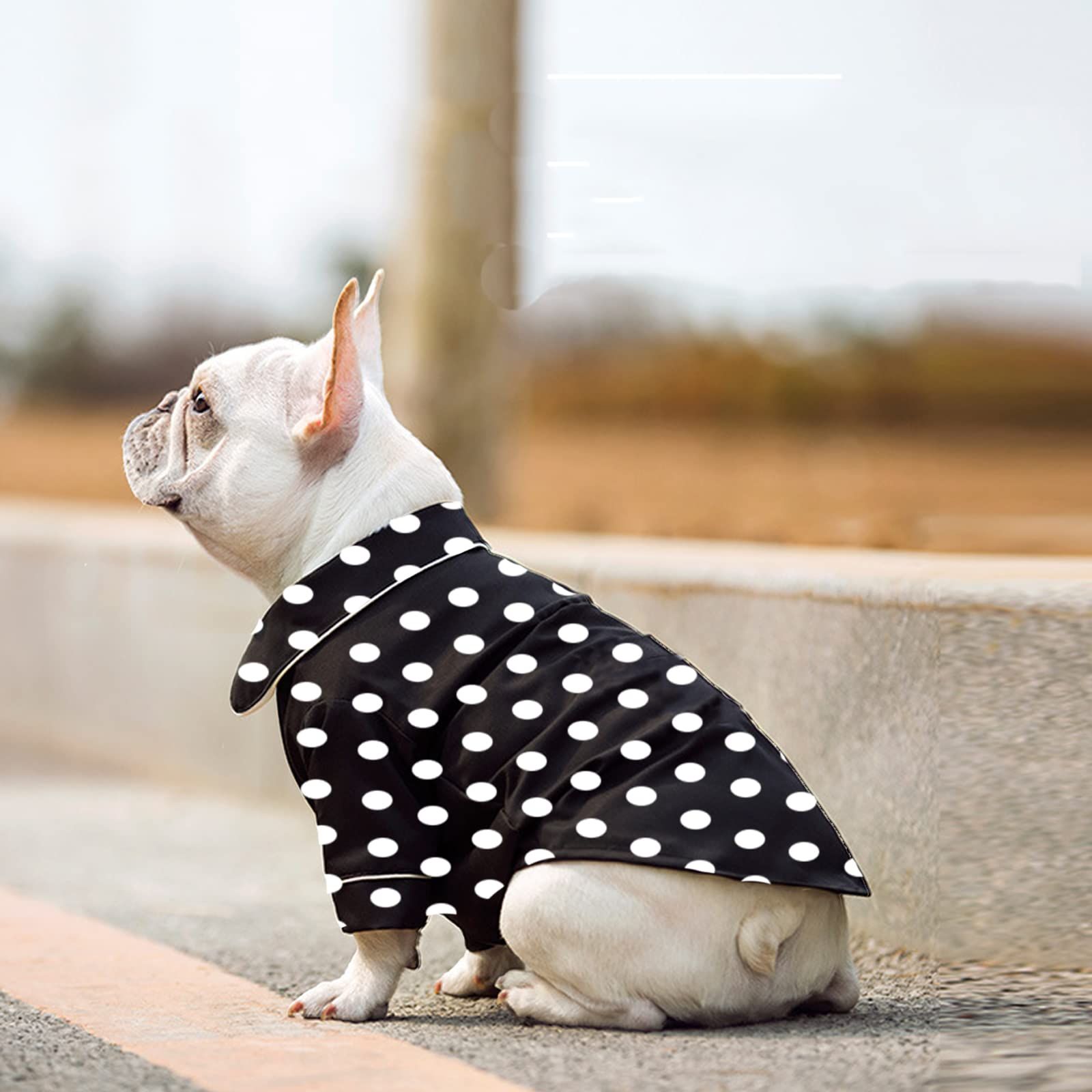Dog Pajamas for Small Dog Boy Girl Puppy Clothes Dot Shirt Silk Loungewear Soft Breathable Male Female 1 Pack （S） — image 3