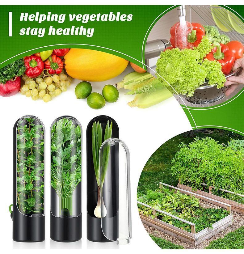 4Pcs Herb & Vegetable Fresh Storage Containers-Black โ image 3