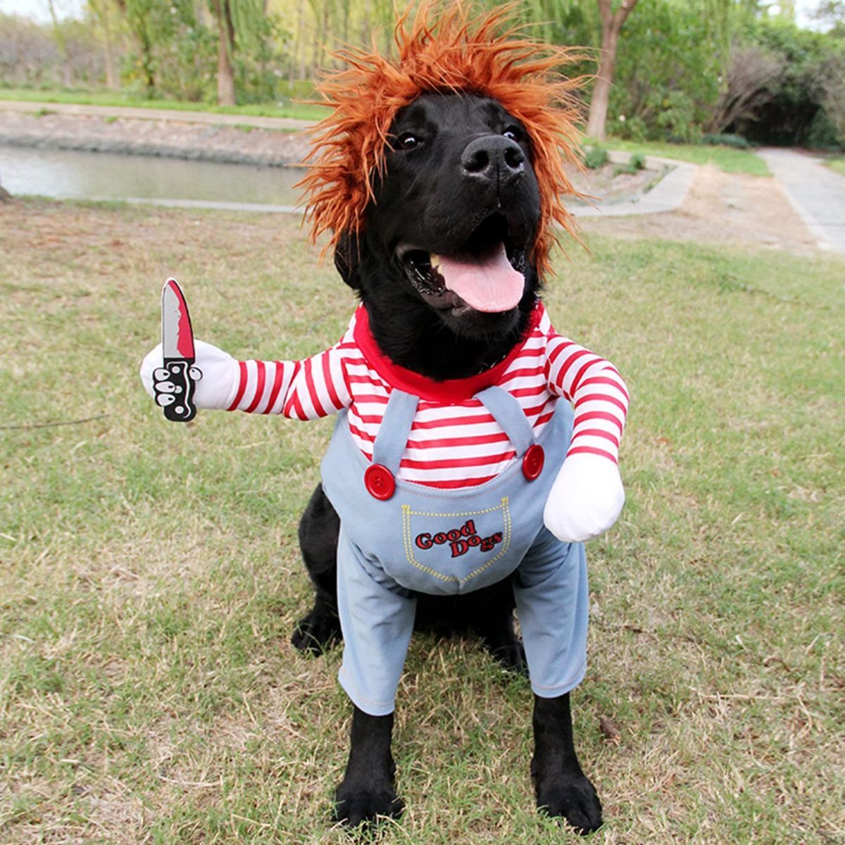 Pet Deadly Doll Dog Costume, Cosplay Halloween Christmas Funny Clothes Party Costume for Small Medium and Large Dogs - Blue - Size M — image 3