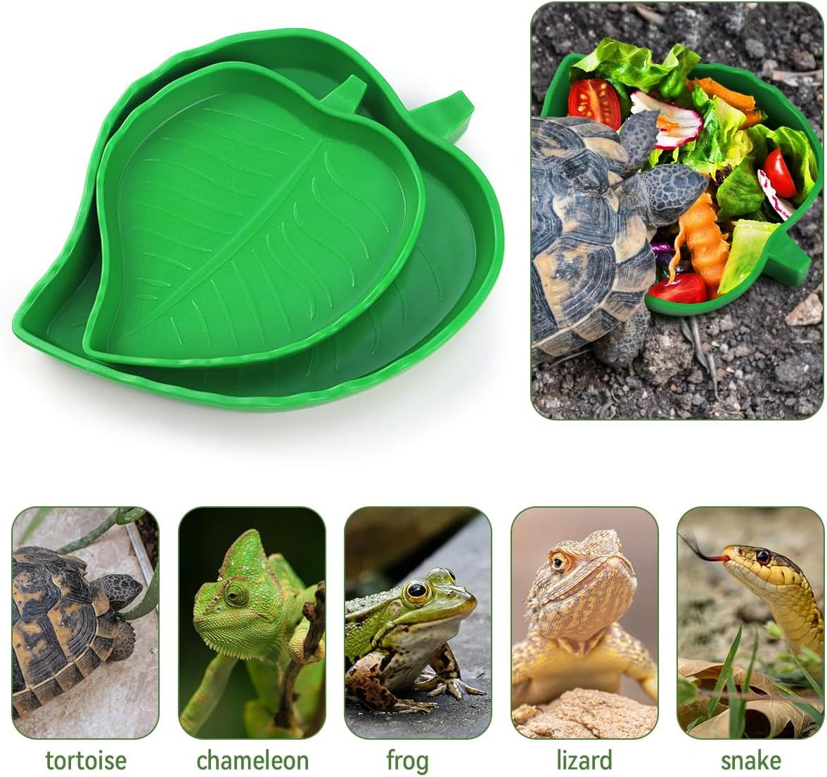 2 Pack Leaf Shaped Reptile Food and Water Bowls, Shallow Feeding Dishes for Tortoises, Lizards, Small Snakes and Bearded Dragons — image 4