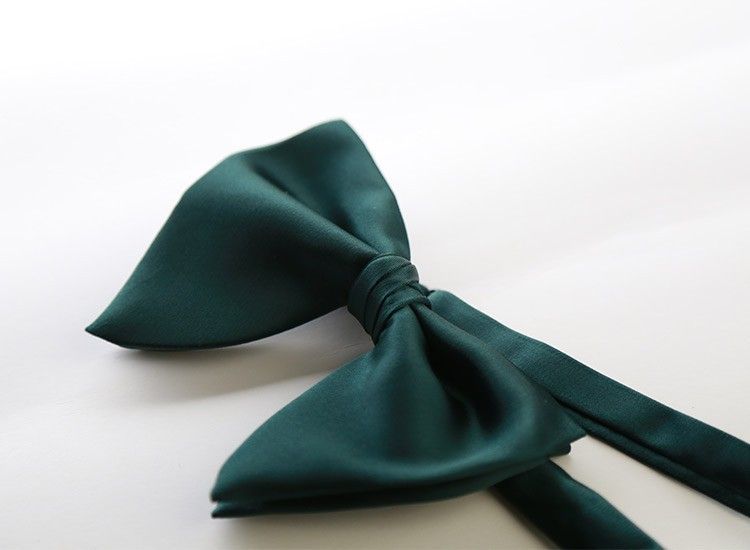 Men Bow Tie Solid Color Black Polyester โ image 5