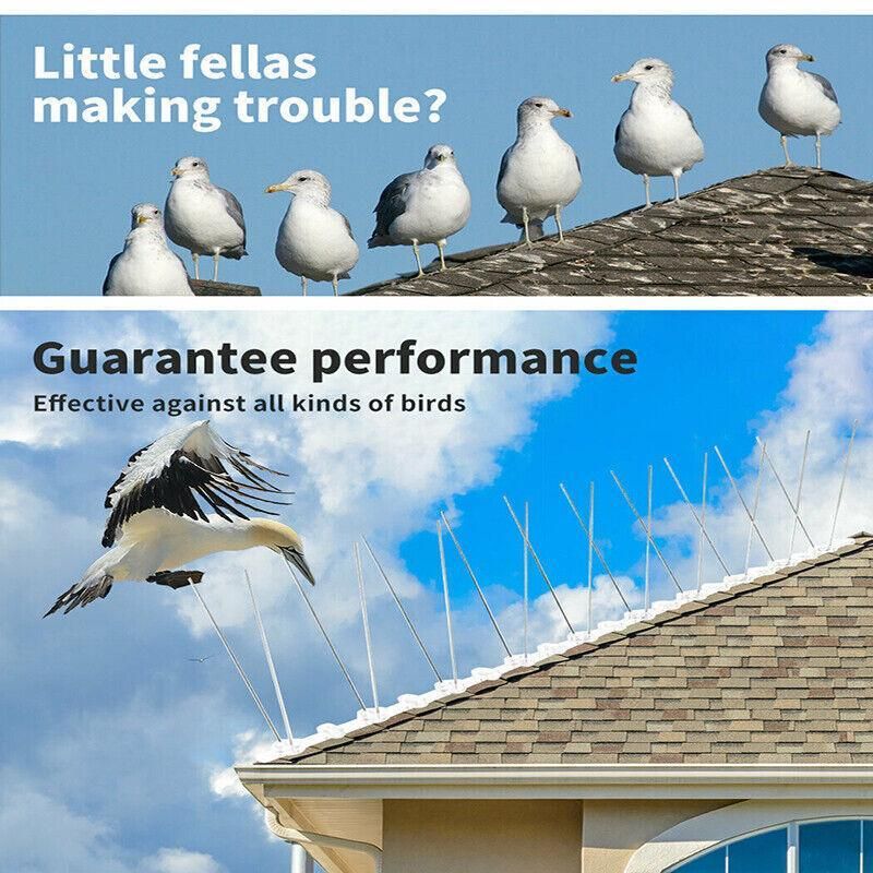 Lambu 10X 50Cm Anti Bird Spikes Pigeon Deterrent Repellent Bird Sting Stainless - 20 Groups โ image 4