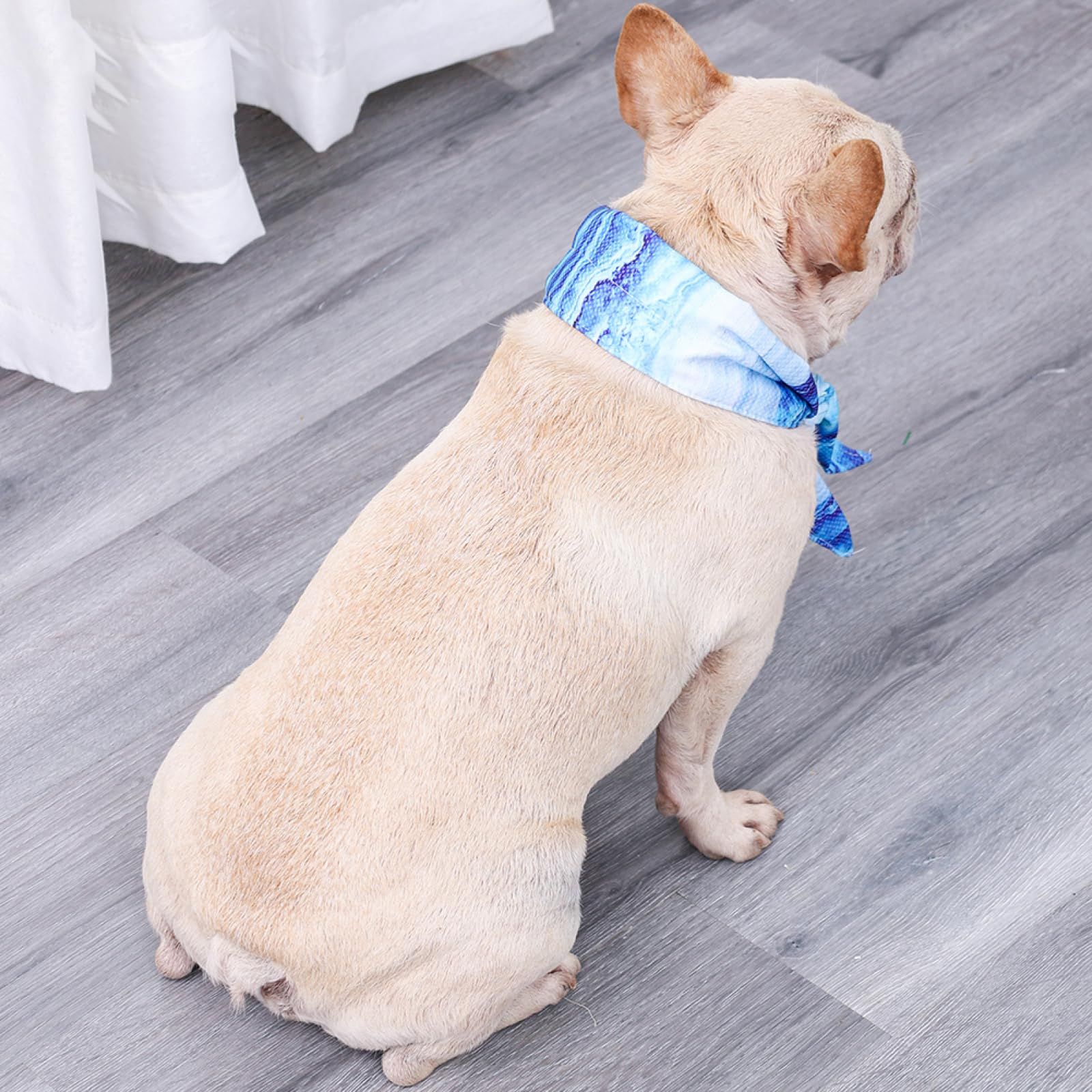 Dog Grooming Comb 2Pcs Pet Cooling Bib Dog Towel Ice Scarf Chill Dog Collar for Summer Cool Comfortable Fabric Dog Scraf S โ image 5