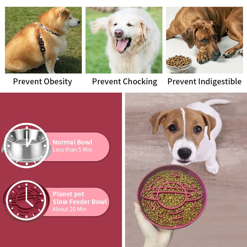 Dark Red Silicone Planet Slow Feeder Dog Bowl - 2-in-1 Anti-Choke Lick Mat for Healthy Eating & Fun β image 5