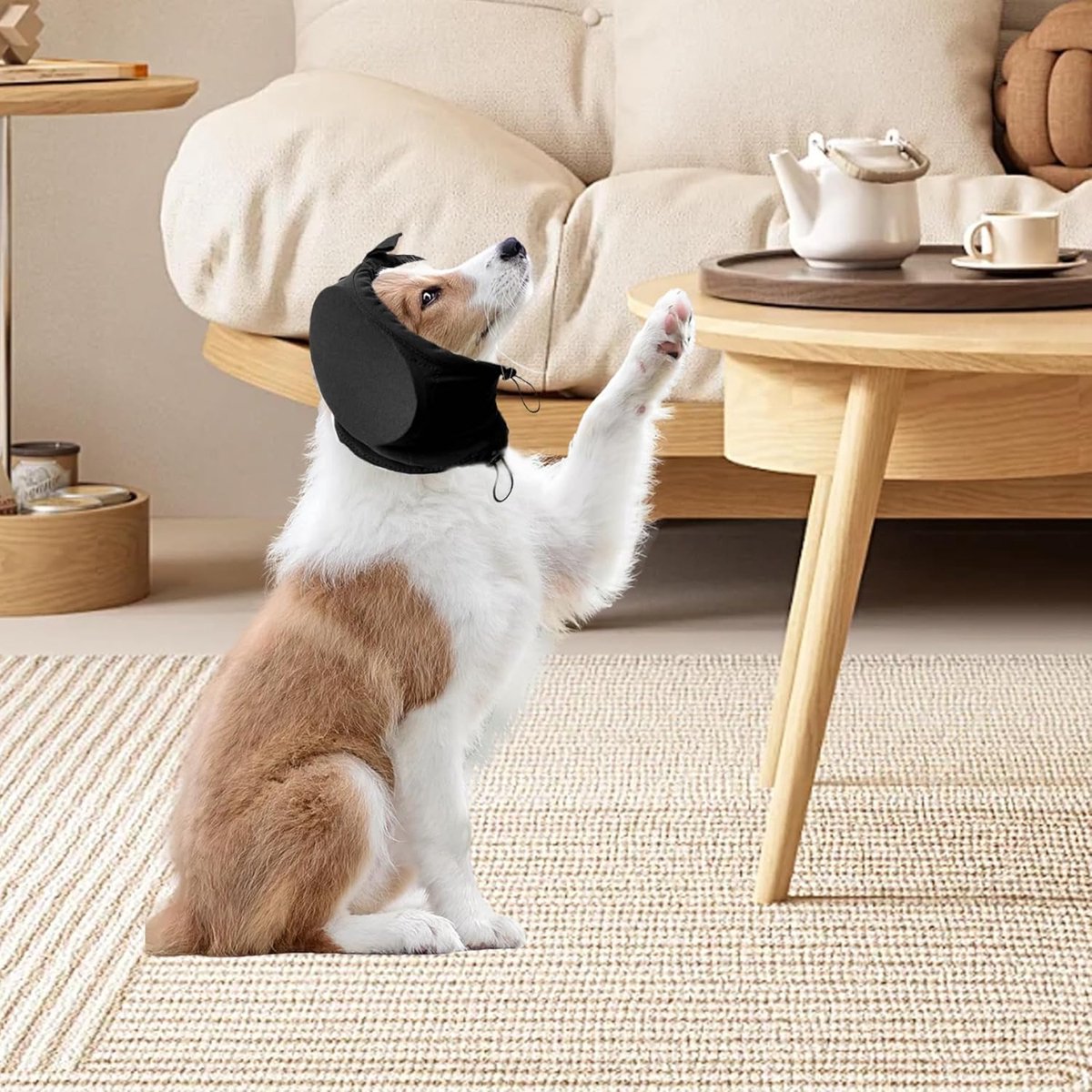 XL - Noise-Reducing Ear Protectors for Dogs - Dog Ear Protector - Ear Protector for Dogs - Dog Ear Protector - Hearing Protection for Pets - Pet Cone — image 3