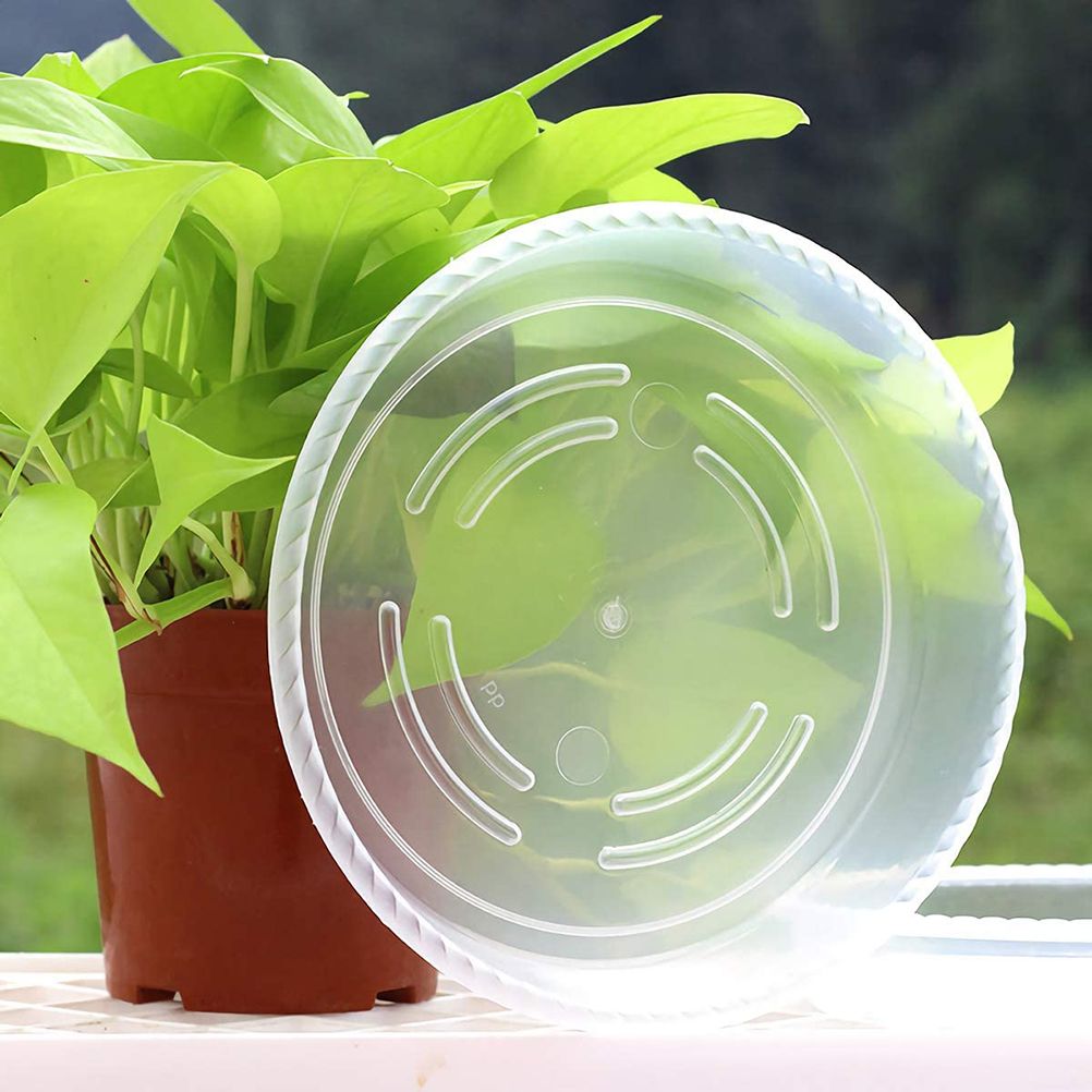 10 pcs Clear Plant Saucers Plastic Flower Pot Drip Trays for Indoors Outdoors — image 3
