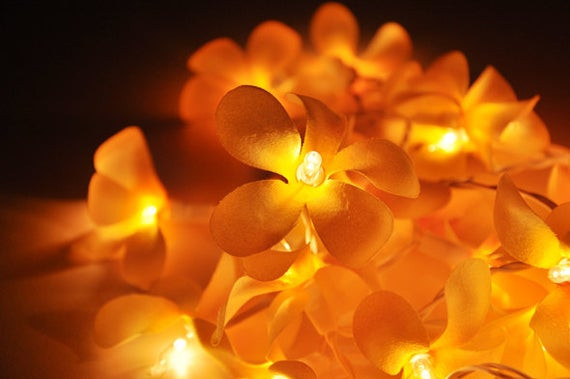 1 Set of 20 LED Orange Frangipani Flower Battery String Lights Christmas Gift Home Wedding Party Decoration Outdoor Table Garland Wreath โ image 5