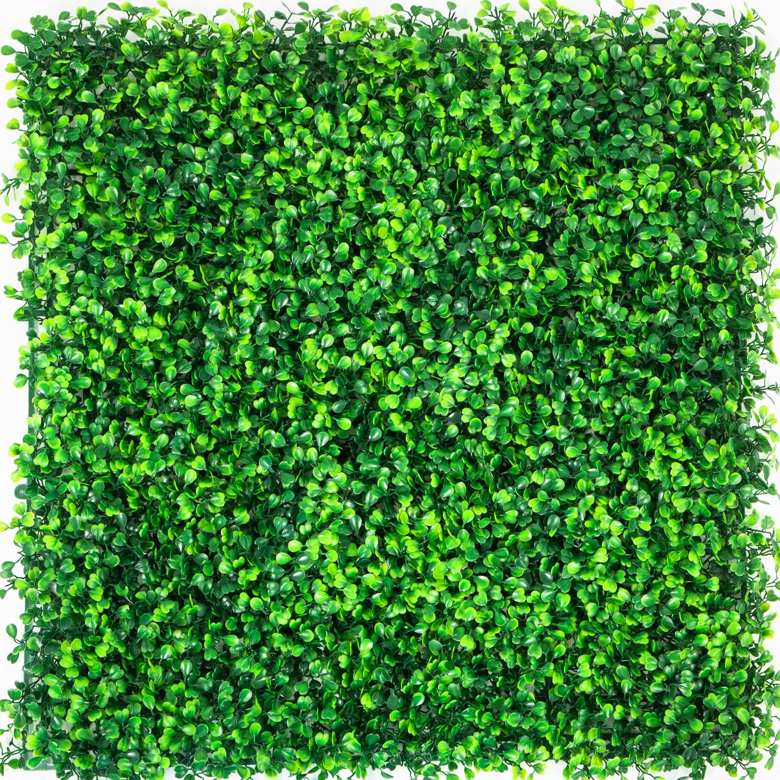 Artificial Boxwood Panels, 12 PCS 20"x20" Boxwood Hedge Wall Panels, PE Artificial Grass Backdrop Wall 1.6/", Privacy Hedge Screen for Decoration of Outdoor