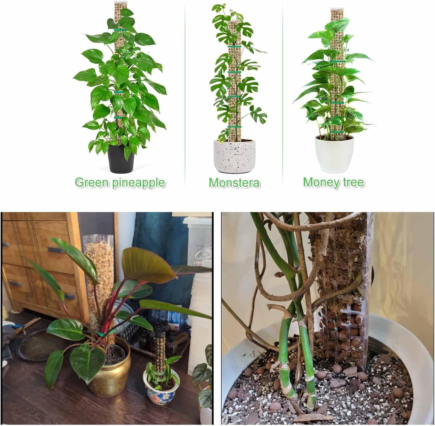 6 Pcs 24 Inch Plastic Moss Pole for Plants Monstera, Stackable for Indoor Work with Sphagnum Support Structure to Help Plants Grow Upwar โ image 4