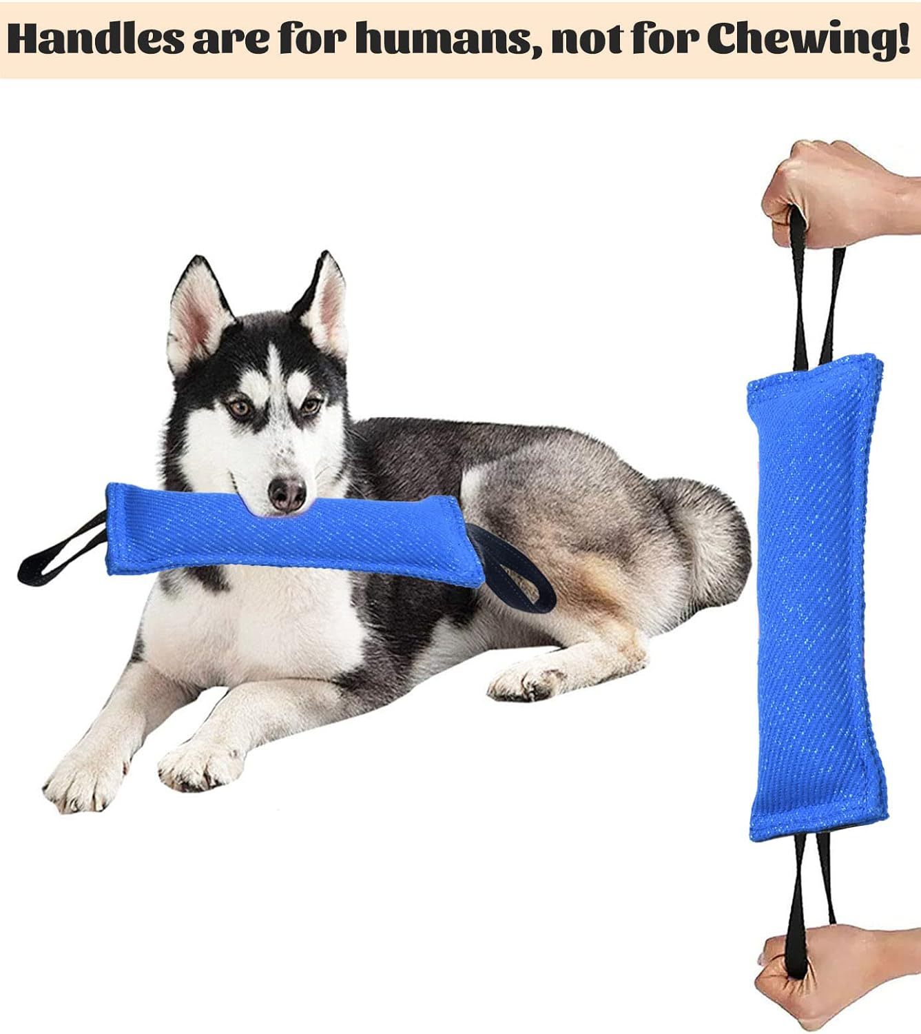 Green Durable 2-Pack Tug-of-War Dog Training Toy - Tear-Resistant, Safe & Interactive for All Breeds โ image 4