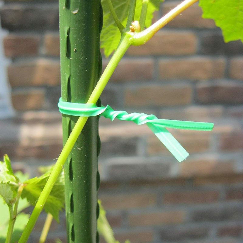 Twist Tie, 328 Feet (100m), green cable ties with Cutter, Garden Plant Ties Reusable, Green Twist Ties for plants Gardening Tomatoes — image 3