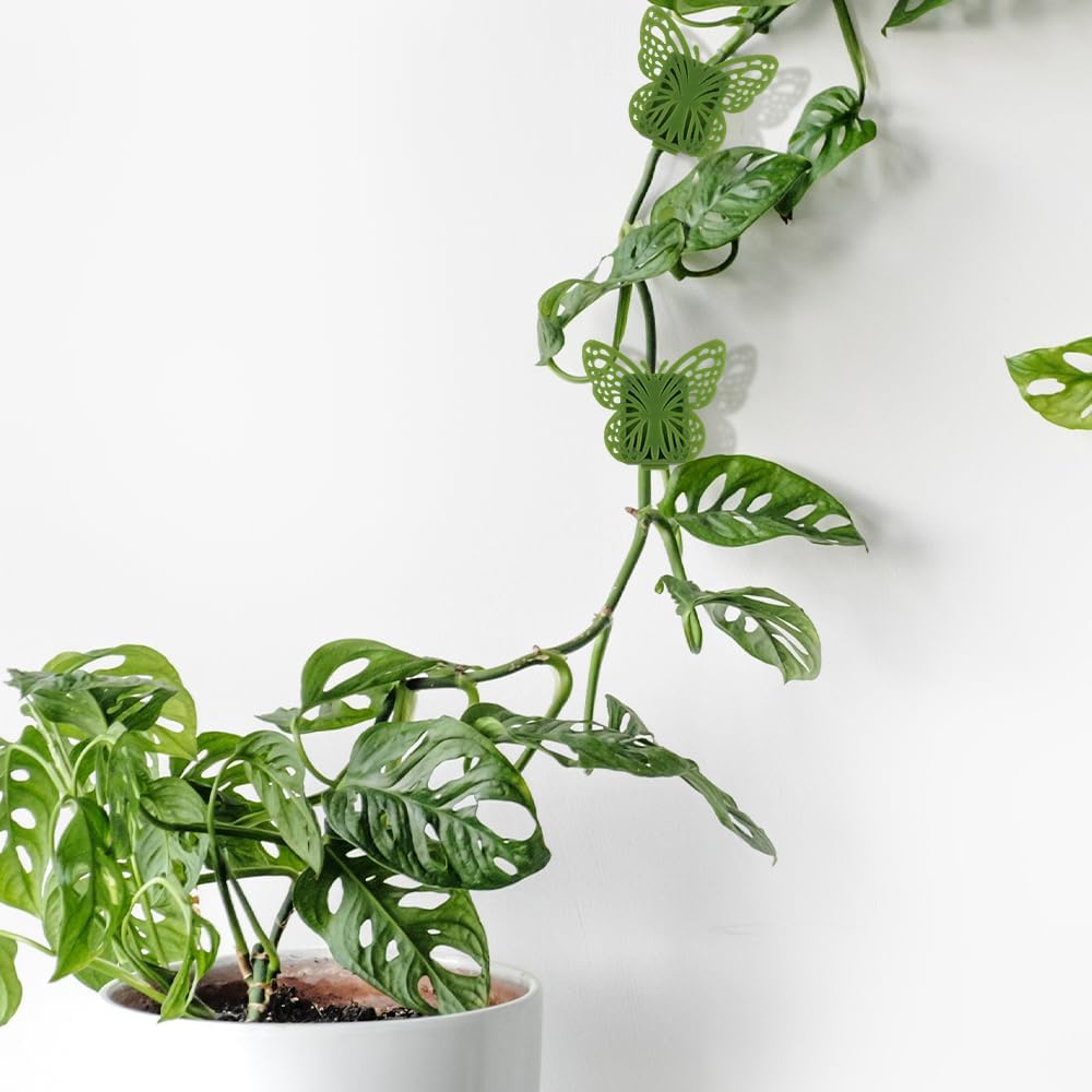 30 Green Butterfly Leaf Plant Clips Invisible Wall Plant Support Hooks Vinyl Cross Brackets for Indoor Outdoor Climbing Plants โ image 3