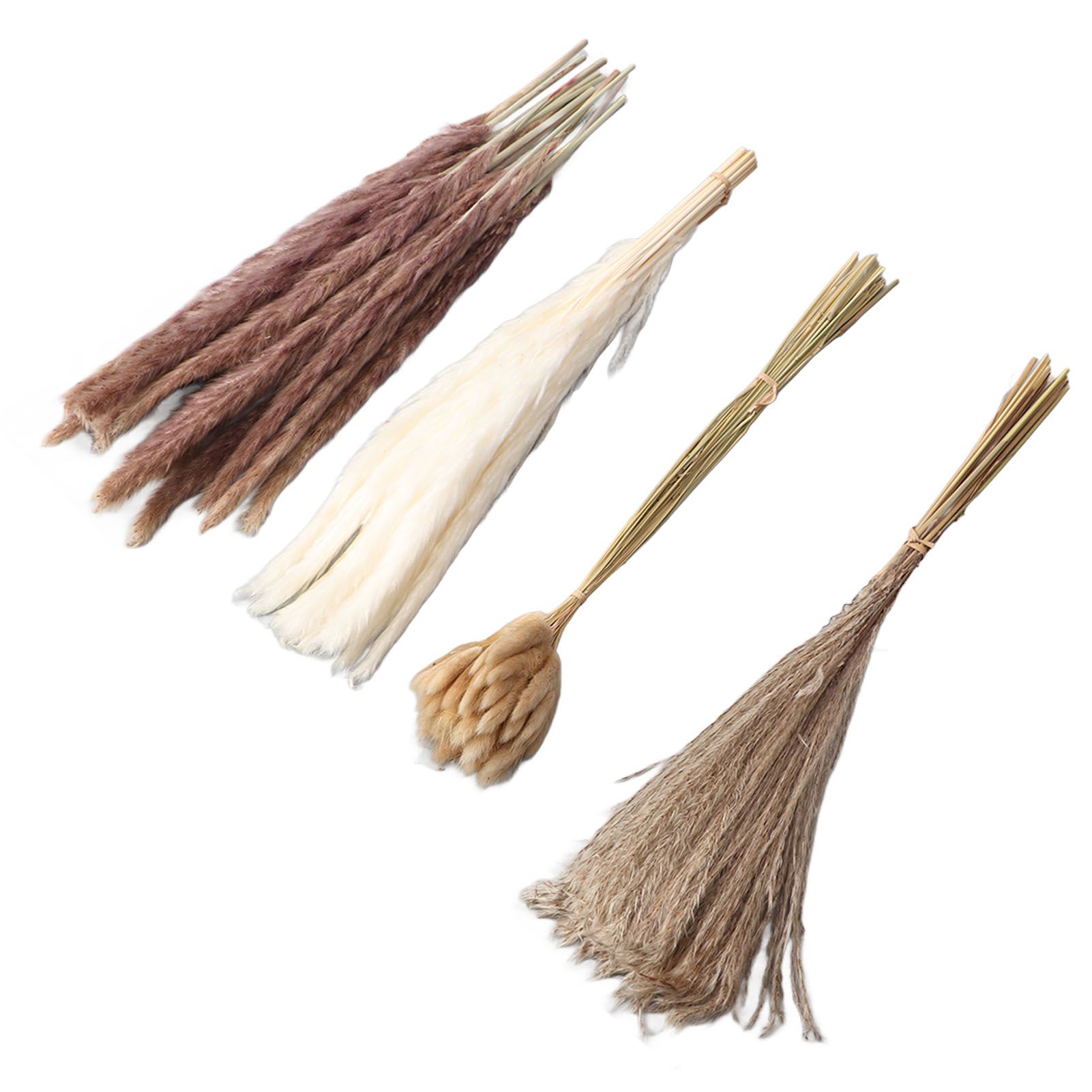 Natural Dried Pampas Grass Fluffy 15PCS White Pampas 15PCS Brown Pampas 50PCS Bunny Tail Grass 20PCS Reed Grass for Home Wedding Decor โ image 6