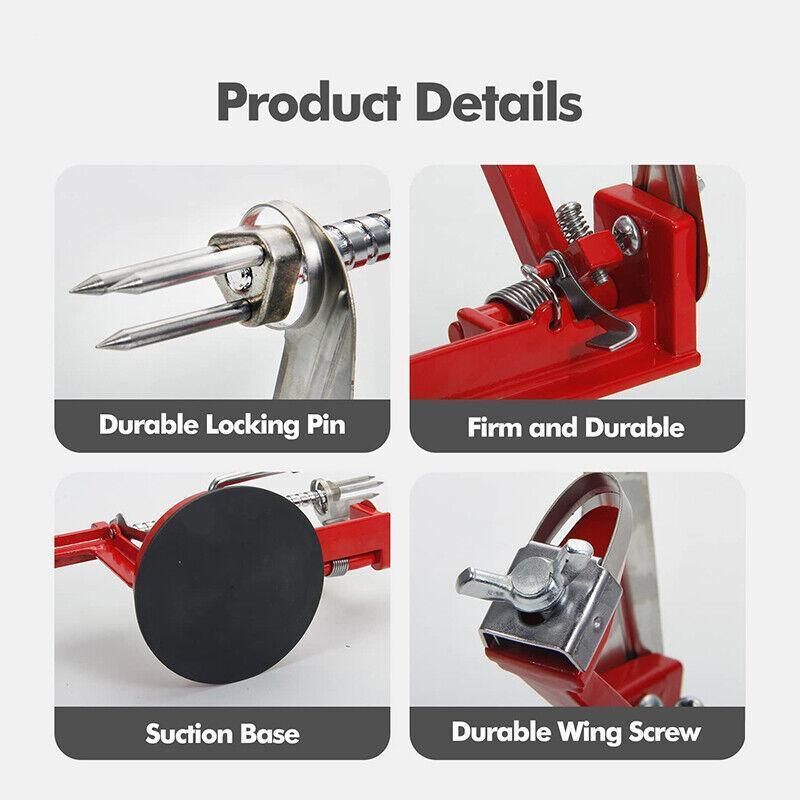 3 in 1 Manual Apple Peeler Corer Slicer Red Fruit Cutter for Kitchen Use โ image 5