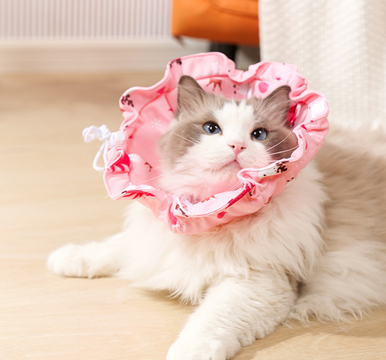 2 Pcs Size M Pink Comfortable Pet Recovery Collar | Waterproof Anti-Lick Collar for Cats & Dogs — image 5
