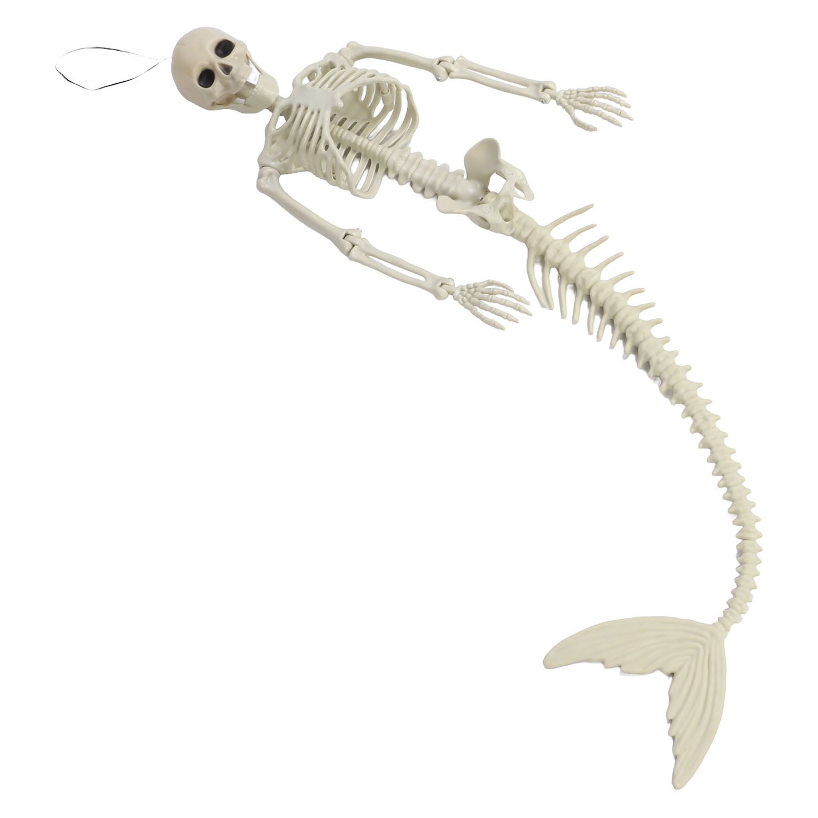 Halloween Skeleton Decoration Realistic Scary Skeleton Figurine Ornament for Haunted House Party Outdoor — image 2