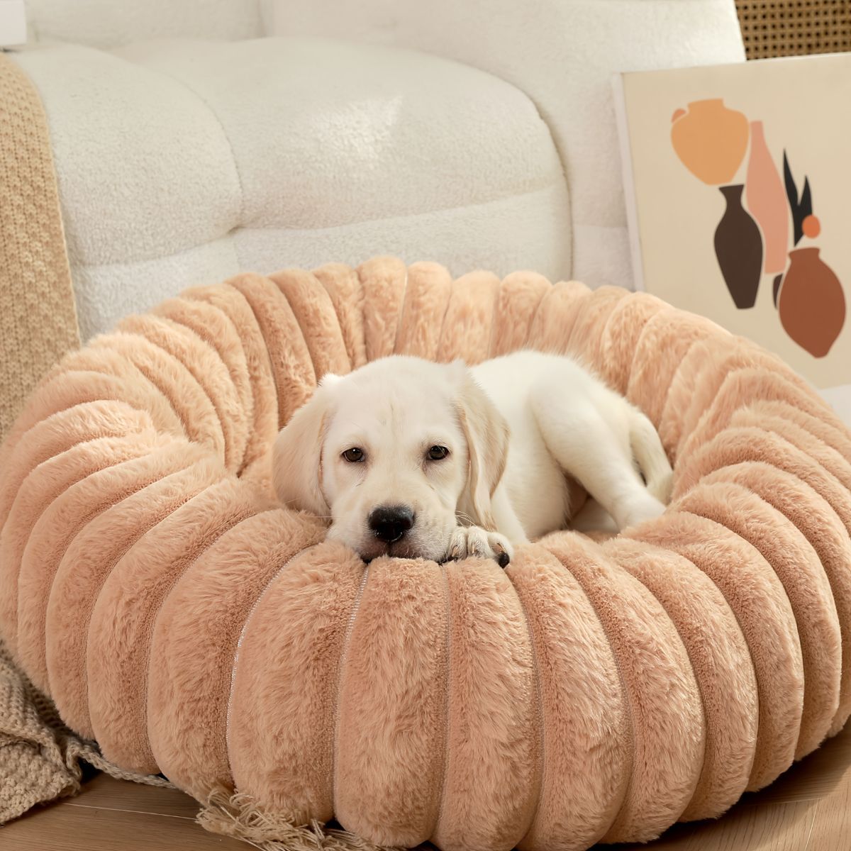Pet Bed Dog Bed Cat Bed Small Dog Bed Medium Dog Bed Plush Pet Bed All-Season - Khaki - Size 50-20-20 — image 4