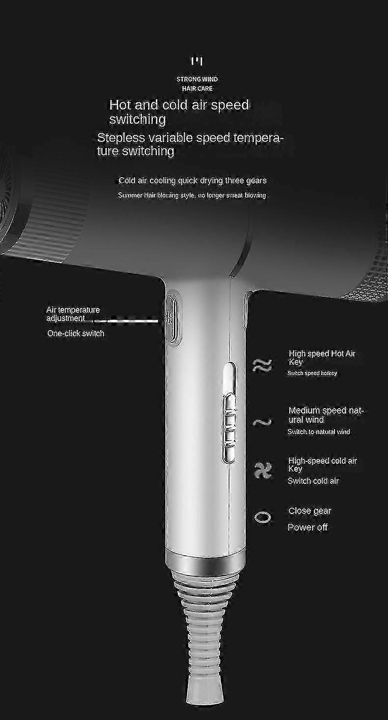 2000W Professional Ionic Hair Dryer with Diffuser Silver Purple — image 5