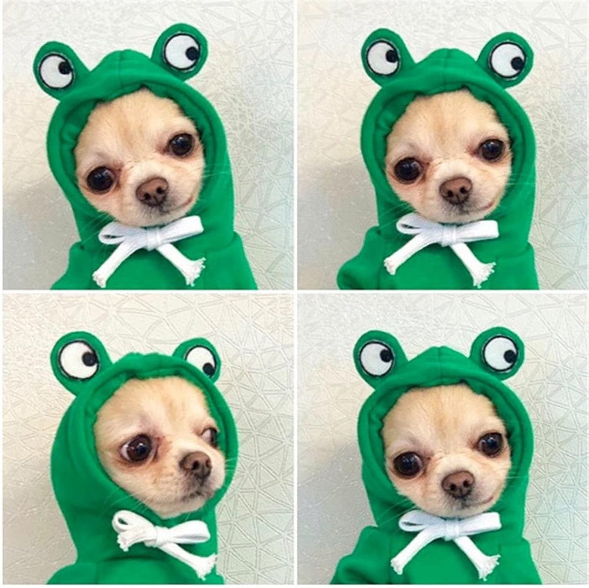 Dog Coat - Warm Winter Dog Clothes - Cute Frog Dog Coat - Hooded Sweatshirt - Warm Dog Coat - Fleece Dog Clothes - Perfect for French Bulldogs - Chihuahuas โ image 5