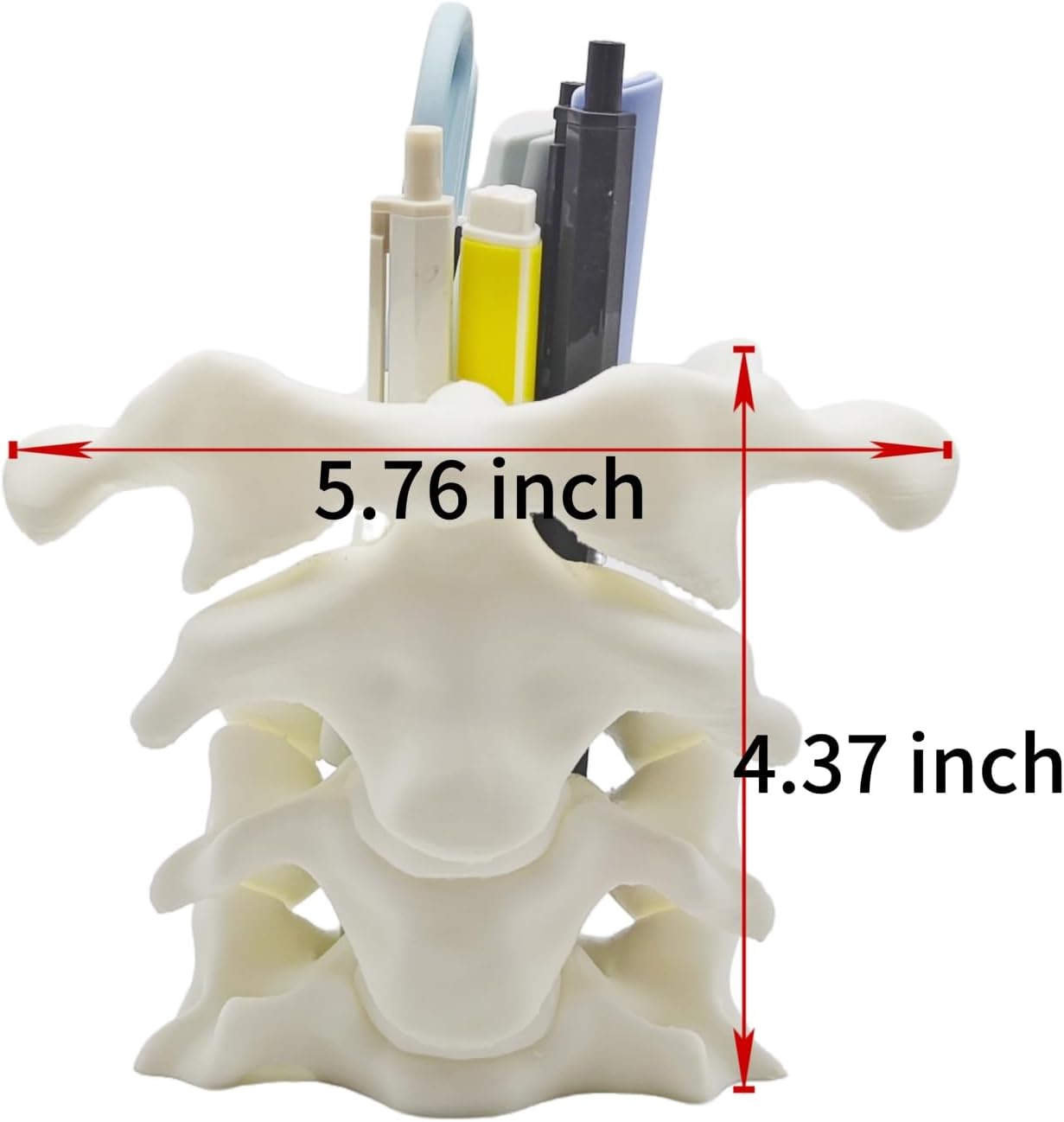 Unique Spine Pen Holder for Desk, Pencil Holder Desk Organizers, Office Supplies Decorations Idea Gift for Doctors, Nurses, Chiropractors โ image 2