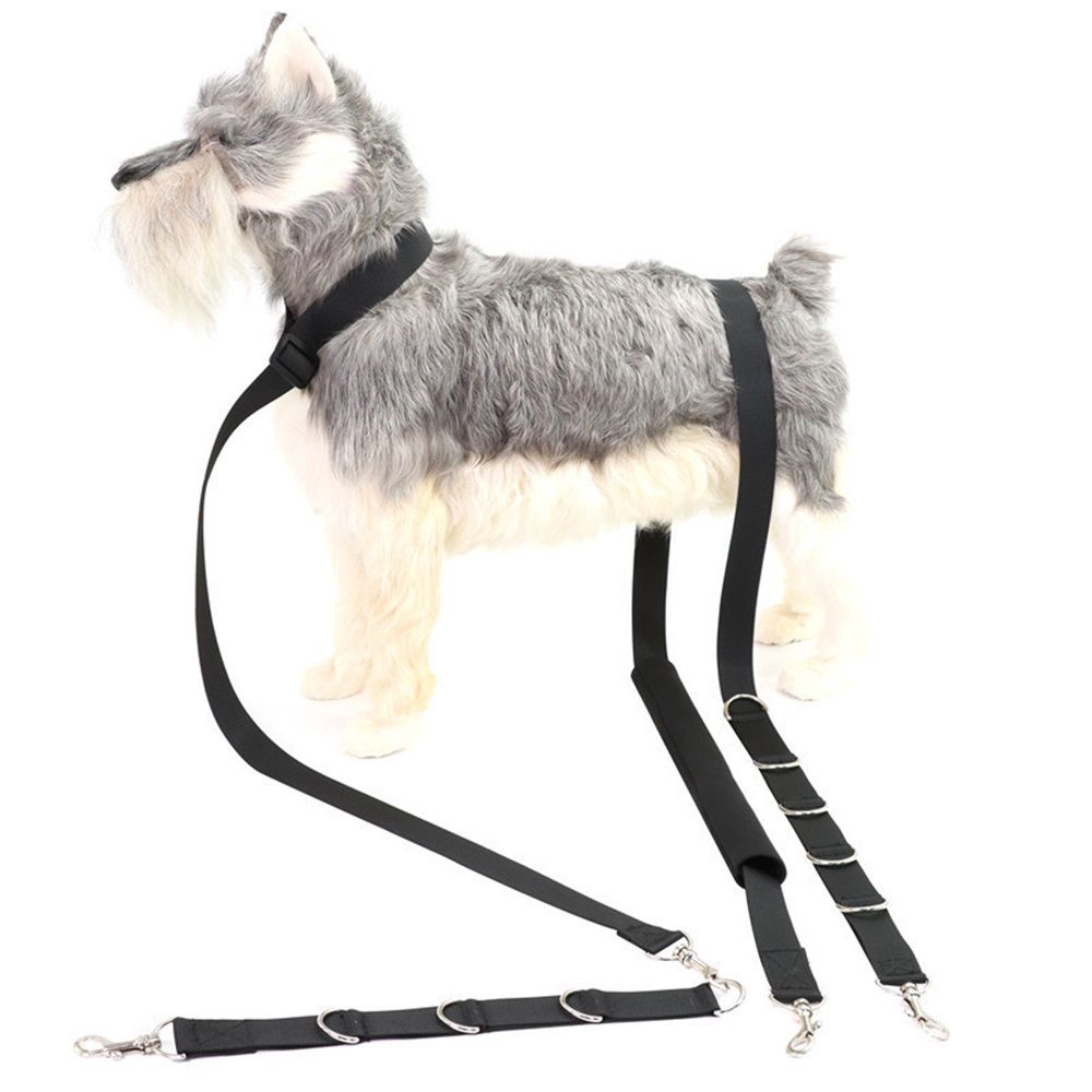 Dog Grooming Belly Strap - Dog Grooming Loops for Table Arm Extender with Clamp Extension Loop Bathing Restraint Leash No Sit Haunch Holder for Small & Medium — image 2