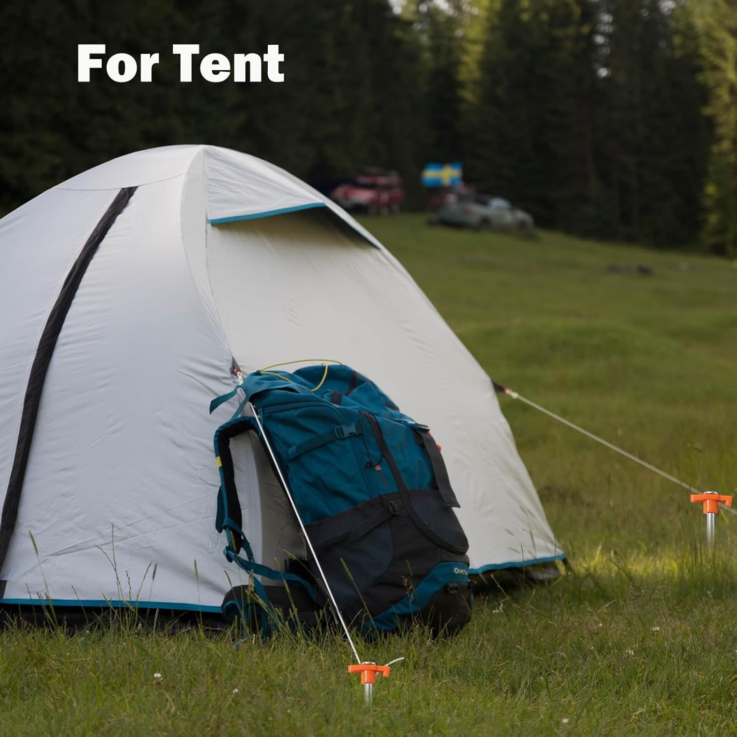 20 Pack Tent Stakes Heavy Duty, 9.75 Inch Yard Stakes Non-Rust Metal Tent Pegs Ground Stakes Tent Spikes for Camping Patio, Garden, Canopies, Grassland โ image 6