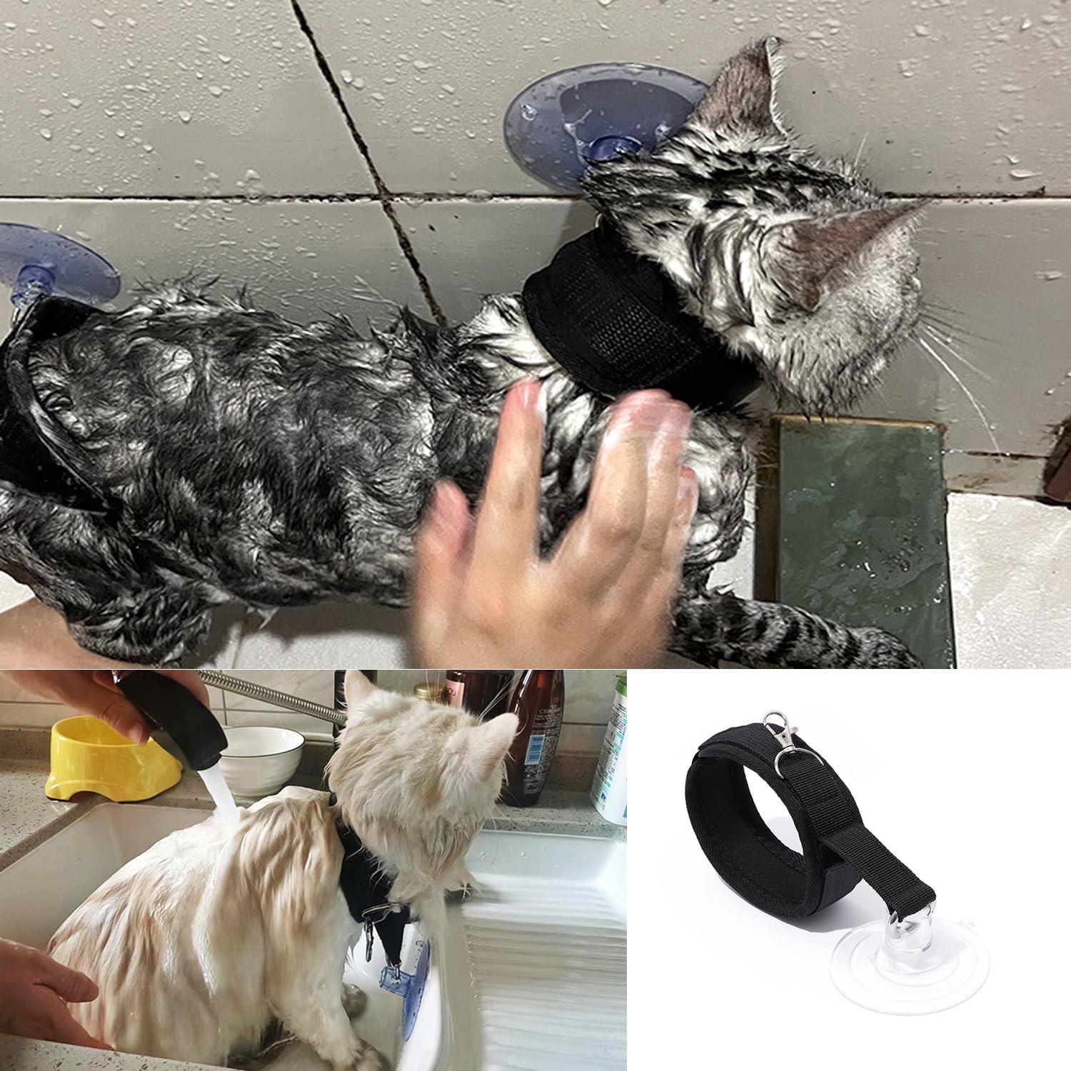 Dog leash - Cat leash - Coat care - Dog accessories - Cat accessories - Grooming table - Pet supplies - Grooming set - Bath - Shower - Suction cup - Safety — image 6