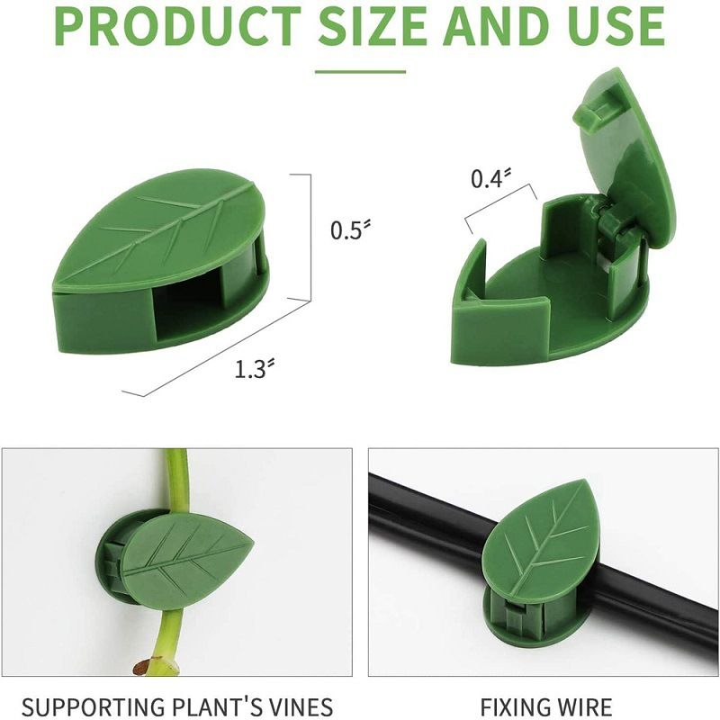 10pcs Plant Wall Fixture Clips for Climbing Plants Invisible Vine Traction Support Holder with 10Pieces Adhesive
