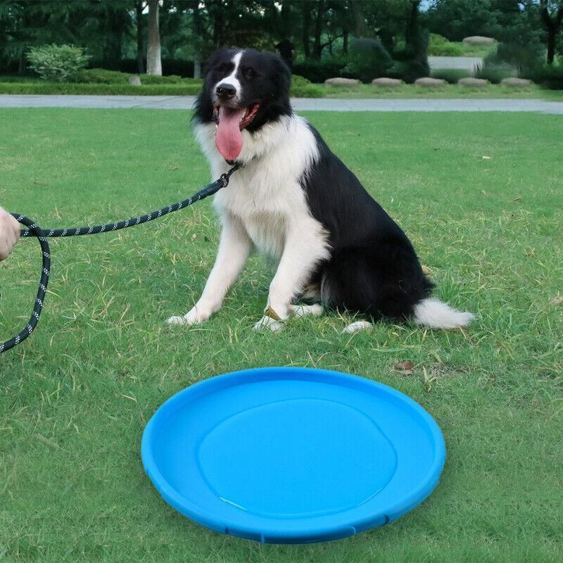Frisbee Toy for Dogs Outdoor Fetch Training Soft Rubber Pet Flying Disc 18cm - Green — image 5