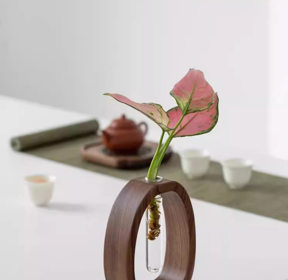 Wooden Glass Hydroponic Vase – Minimalist Desktop Flower Vase for Water Plants & Blooms (15cm) | Other Sizes Available in Store — image 3