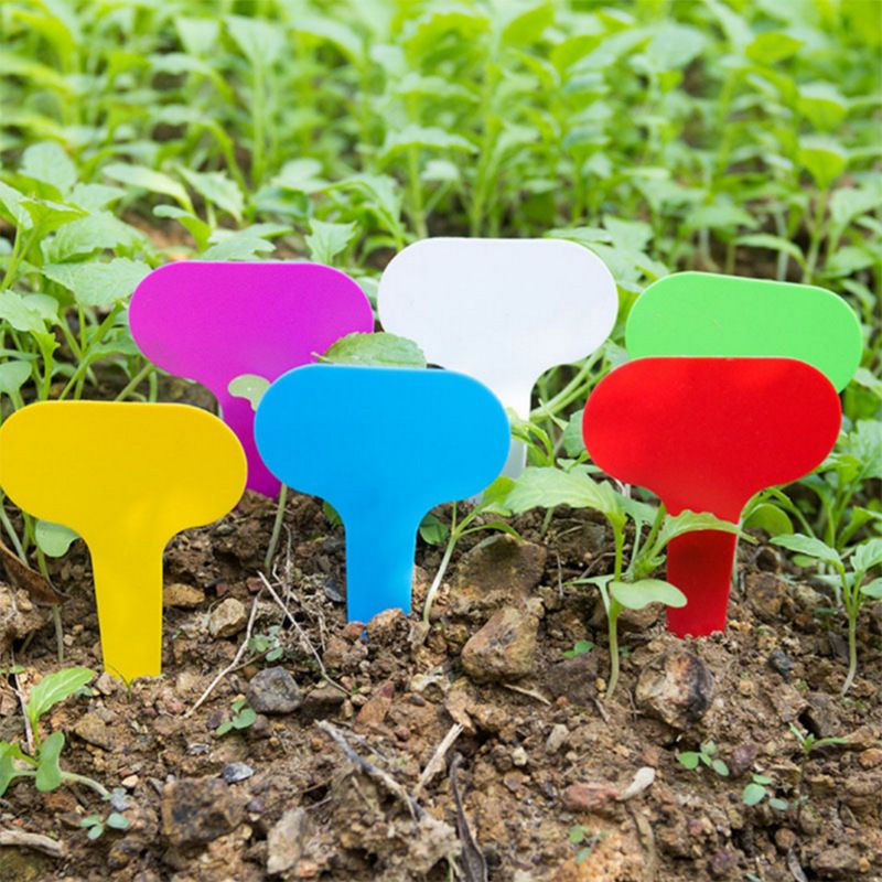 Tabs 600pcs Printable Labels Plastic Tags Green Plants Lables Plant Name Tags Plant Id Tags Plant Labels Flower Card Water Proof — image 4