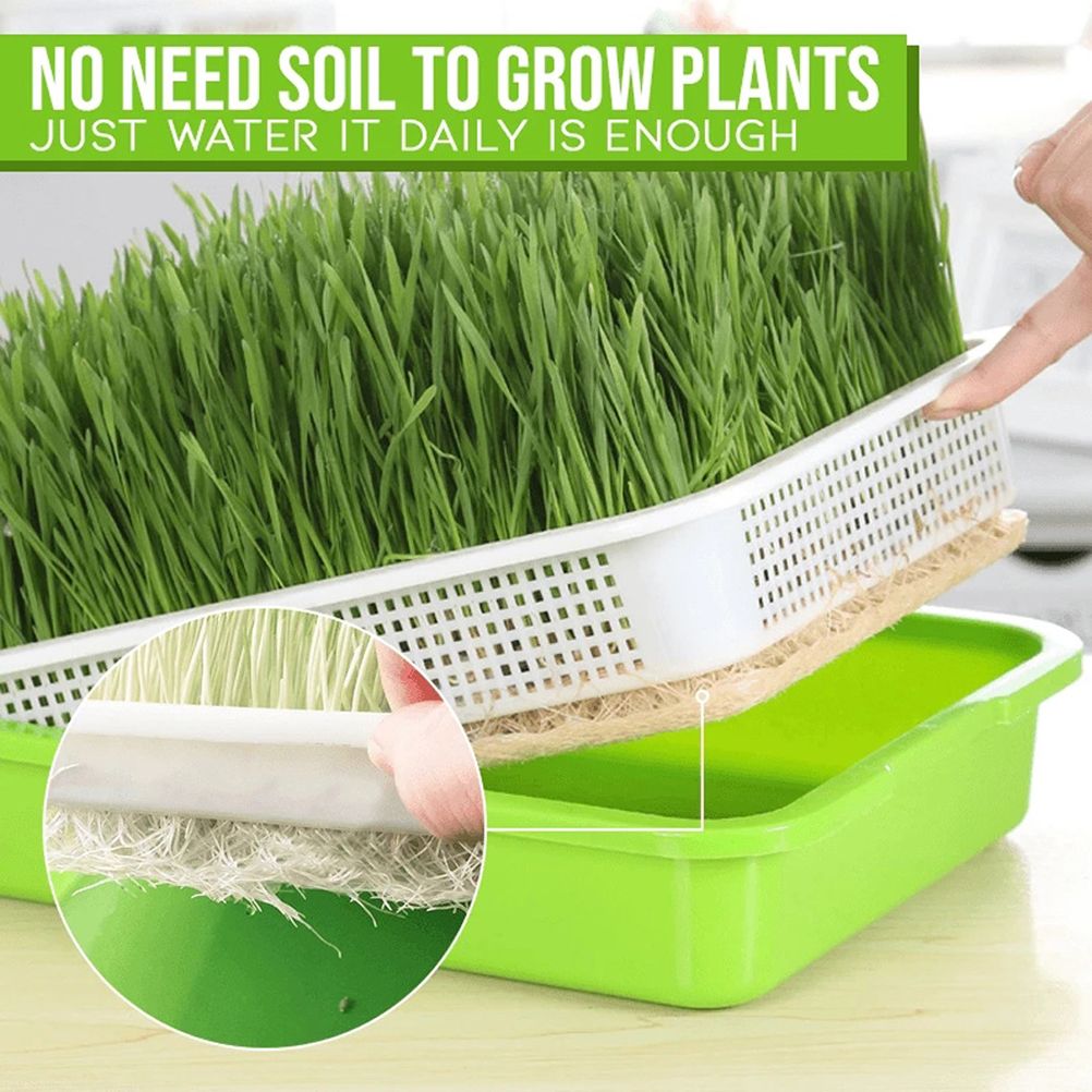 Double Layer Seedling Tray Hydroponic Nursery Tray Garden Seedling Pots — image 6