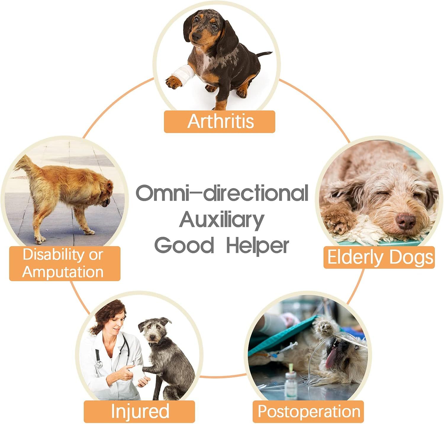 Dog Lift Harness - Adjustable Support for Medium Large Dogs, Comfortable Design with Padded Back Legs for Elderly, Injured, Arthritic, Senior, Disabled Dogs(M) — image 3