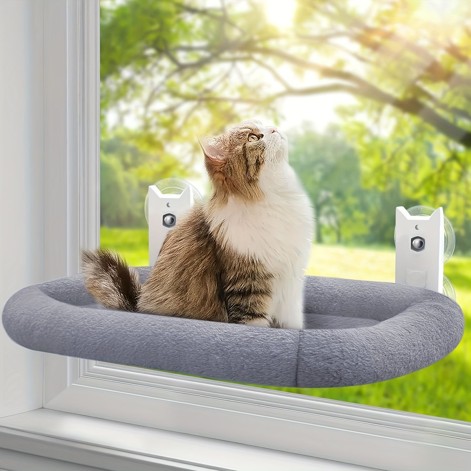bird watching cat bed โ image 6