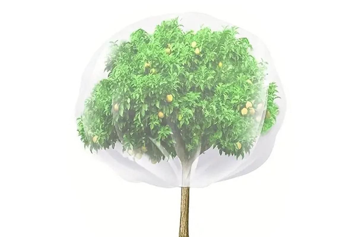 Bird Netting for Garden Protection Garden Netting Pest Barrier with Drawstring — image 4