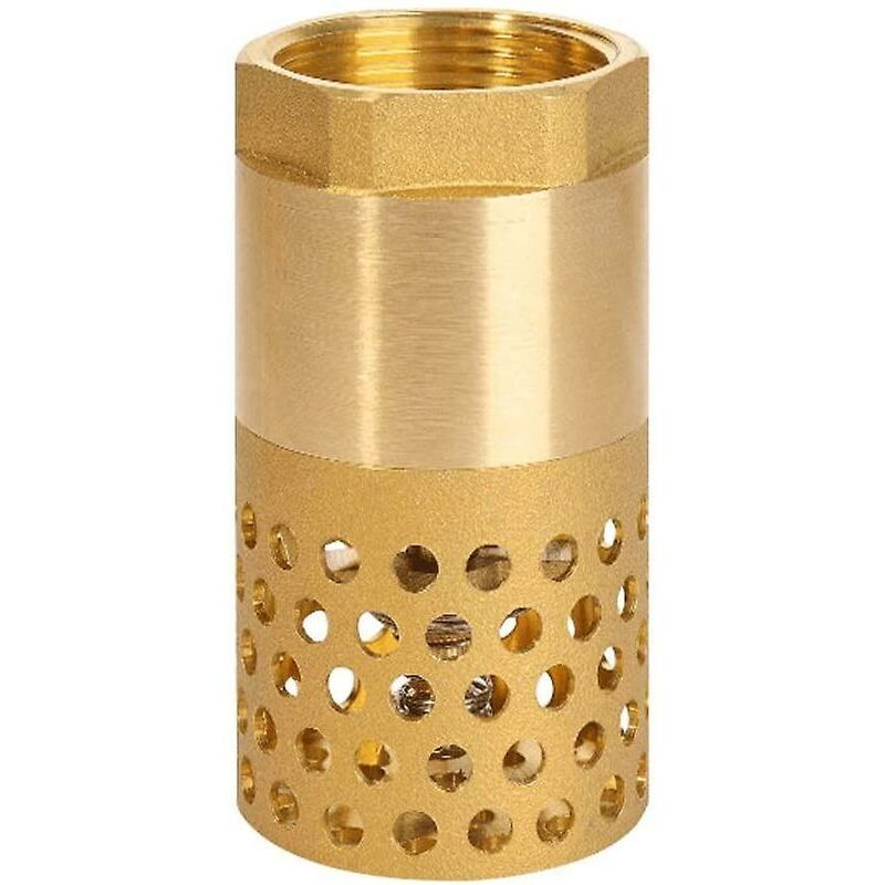 1 Inch Pump Check Valve - Foot Valve Strainer Check Valve (1 Inch)