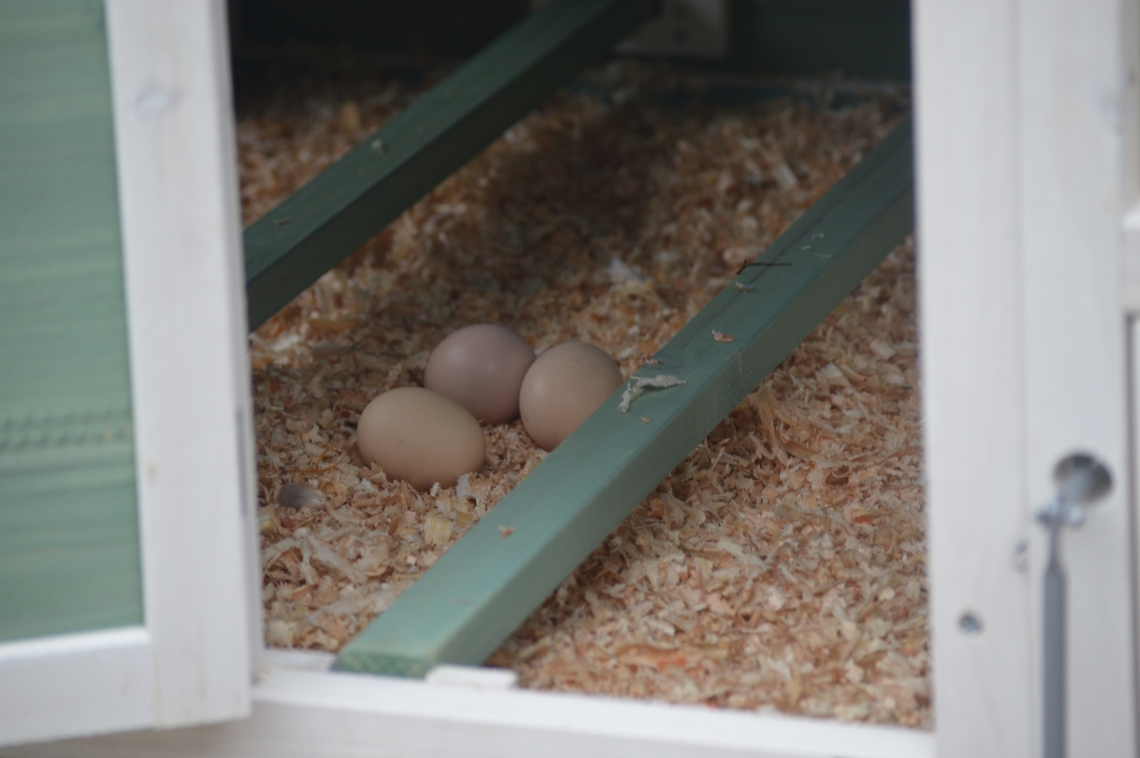 YES4PETS Green Large Chicken Coop Rabbit Hutch Ferret Guinea Pig Cage Hen Chook Cat Kitten House โ image 4
