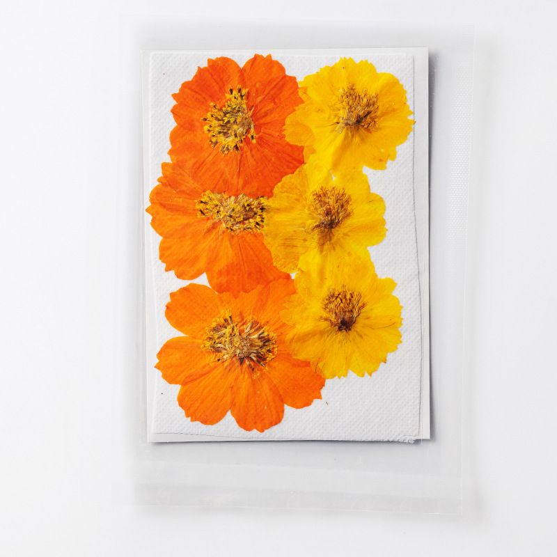 Dried Pressed Flowers for Resin Molds,Real Natural Pressed Flowers for DIY Art Crafts,Candle Making, Nails Décor,Phone Case(12pcs)