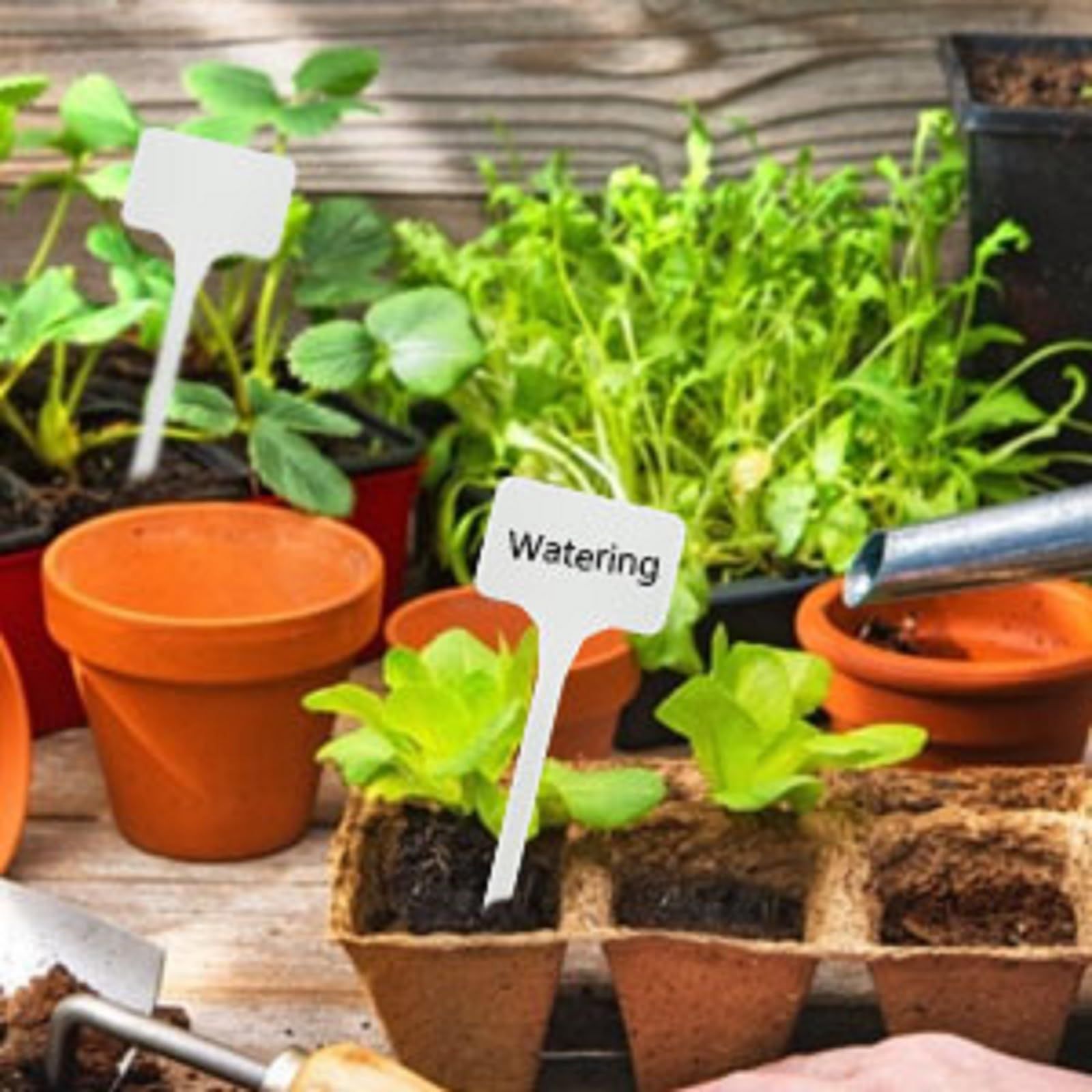 Large Plastic Plant Labels 6 Inch 50 Pack White Sturdy Extra Large T-Style Plastic Plant Labels for Flower beds,Plant pots — image 3