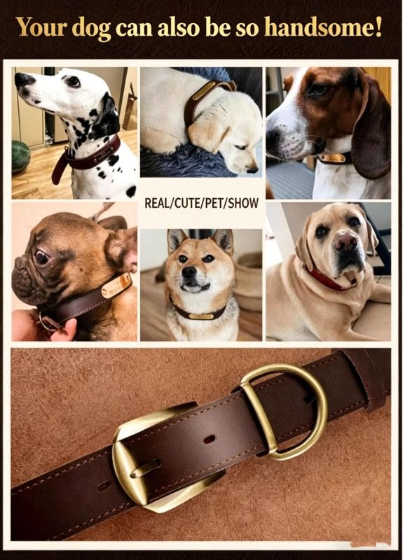 Premium Genuine Leather Dog Collar/Durable Real Leather Adjustable Collars For Male Female(XXL,Black) — image 4