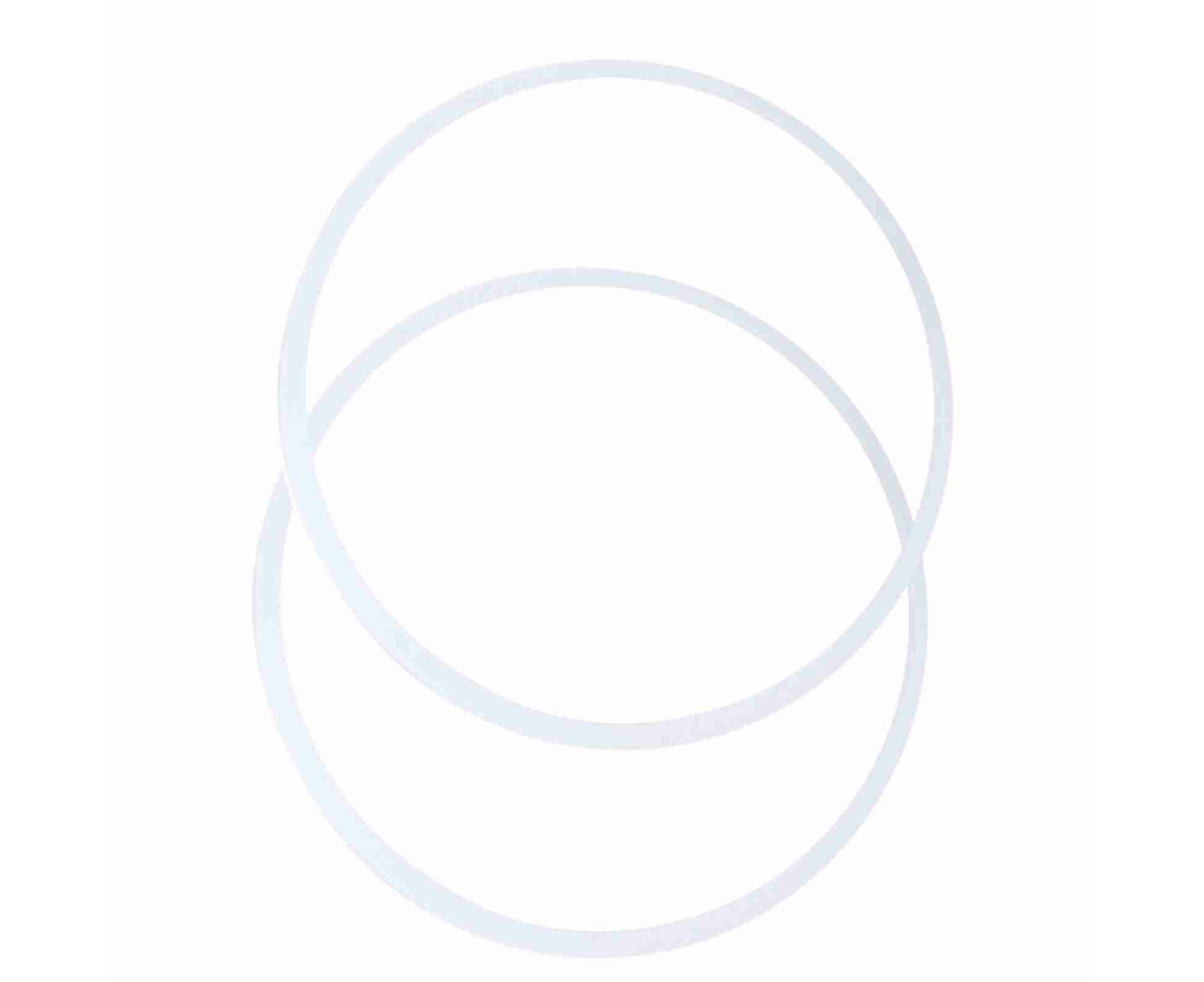 Seal Ring, Flexible Replacement for Juicer, Professional Use, Convenient — image 3