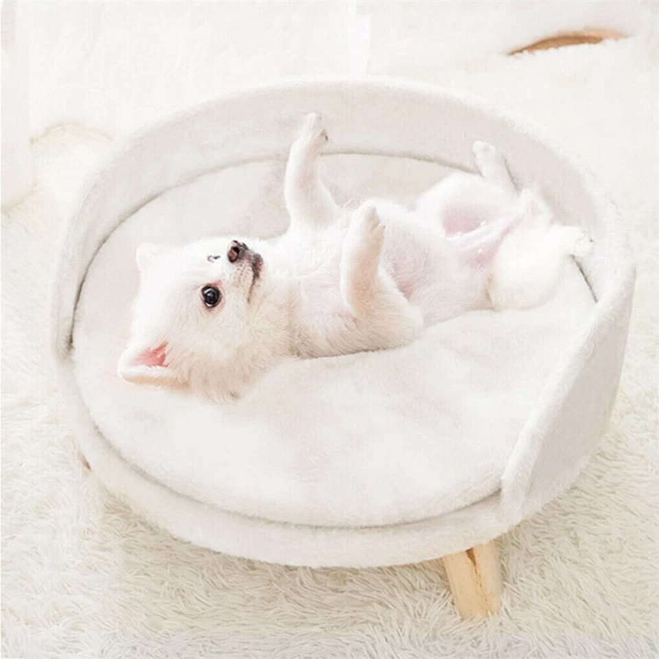 Pet Sofa Bed with Plush Cushion & Wooden Legs โ image 4