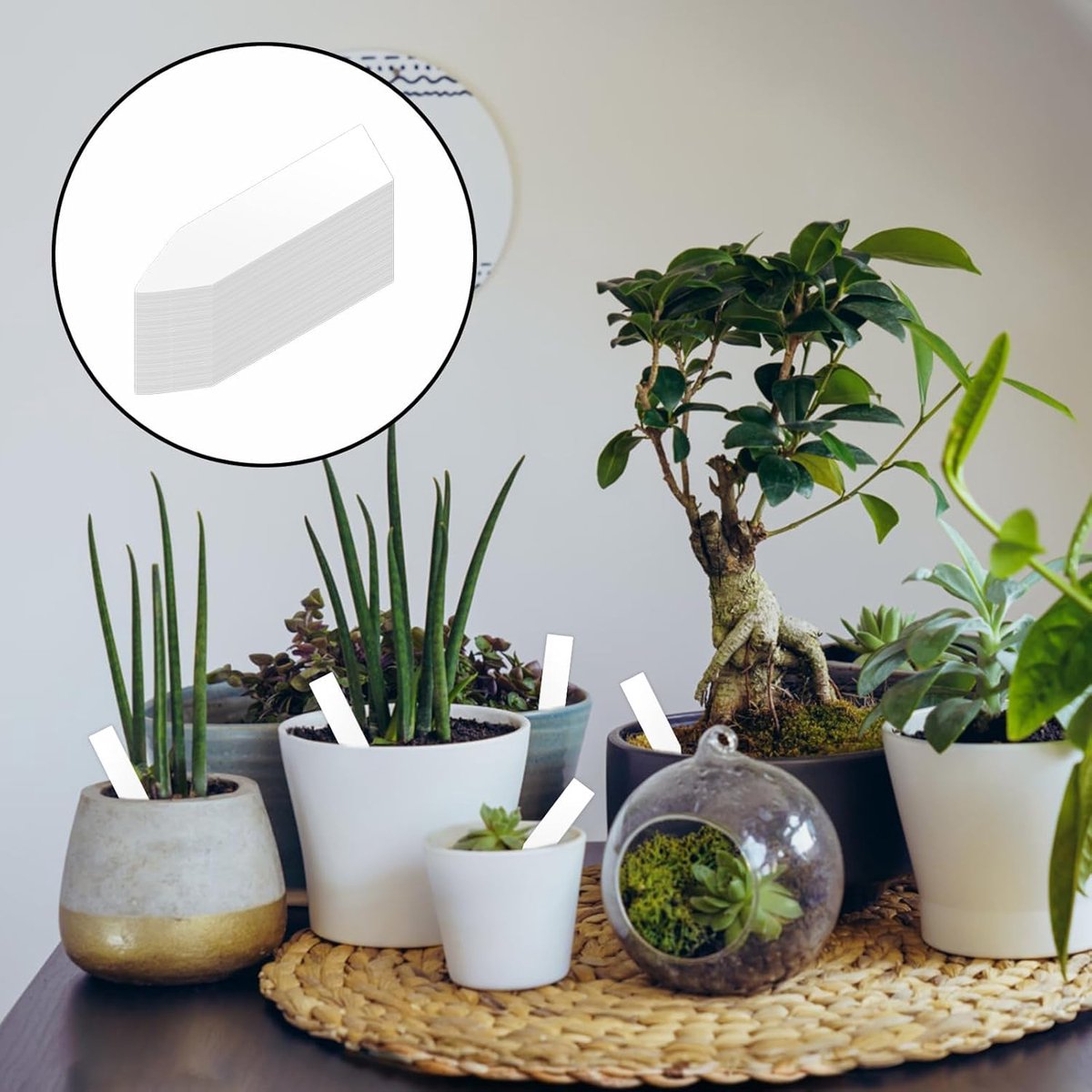 200 Plant Labels - 5x1 CM - Plant Labels - Plant Sticks - Plant Labeling - Herb Labeling - Stick Labels Vegetable Garden Signs - Slotted Labels Plant Label — image 3