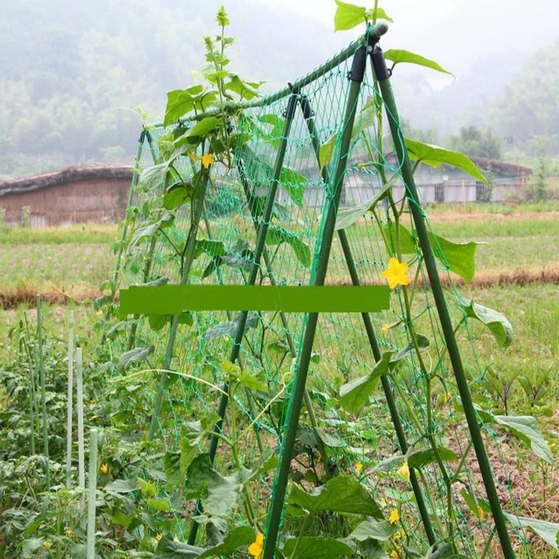 Garden Netting 1Pcs Garden Climbing Net Plant Trellis Plant net Green Strong Nylon Netting Heavy Duty Net Support for Climbing