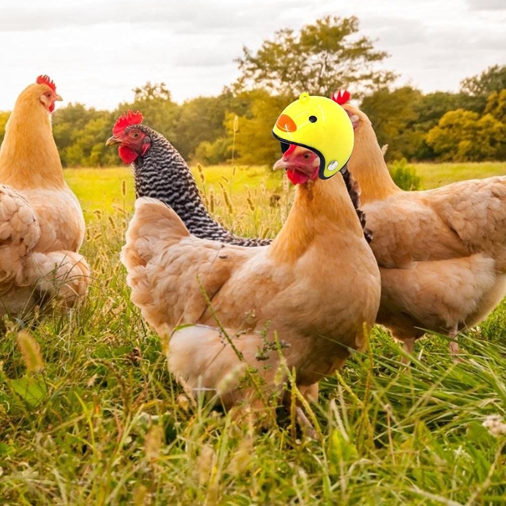 4 Pcs- Chicken Helmet Plastic Bird Head Protection Cap Chick Pecking Helmet Funny Protection Hen Hat — image 3
