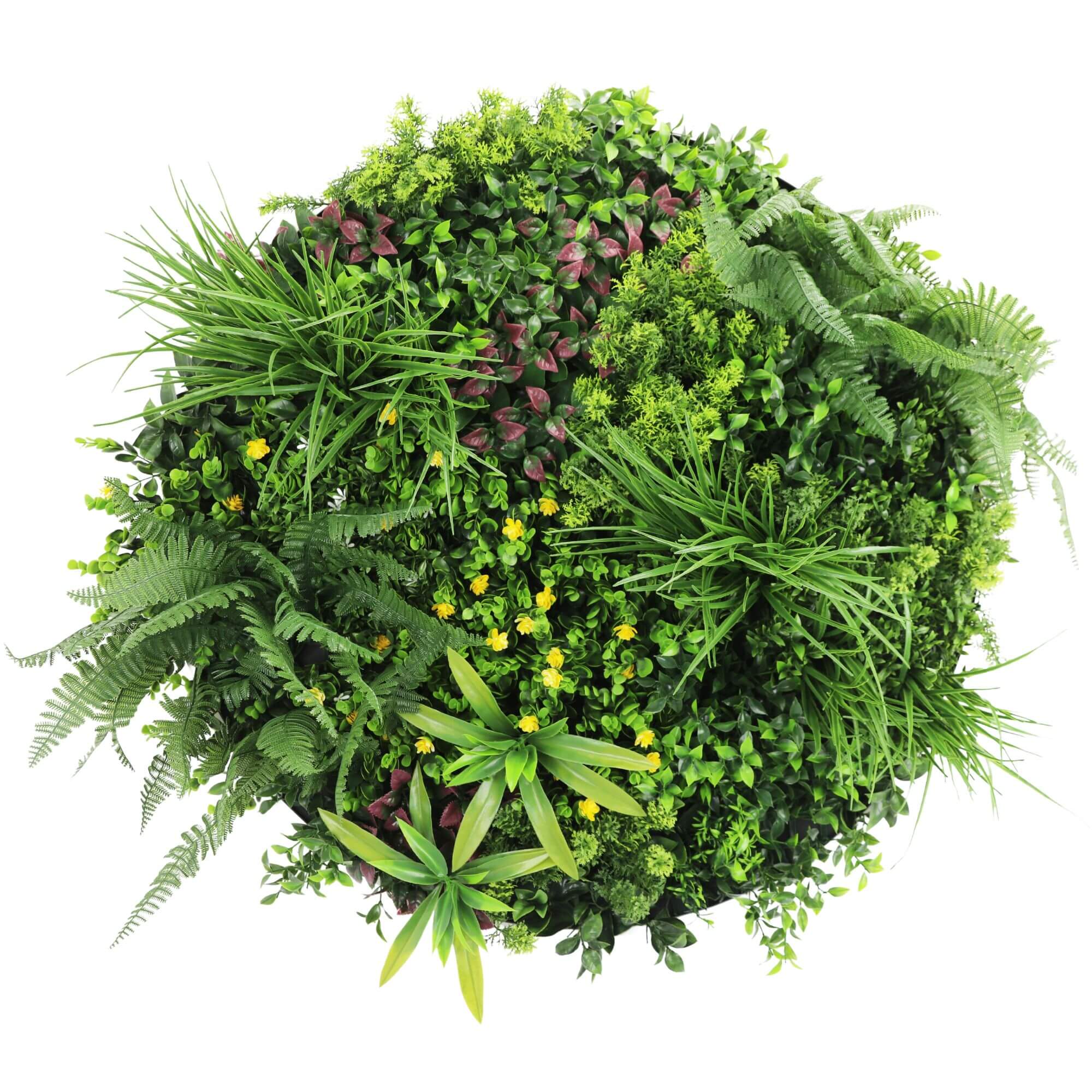 Slimline Artificial Green Wall Disc Art 80cm Country Fern UV Resistant (White) — image 3